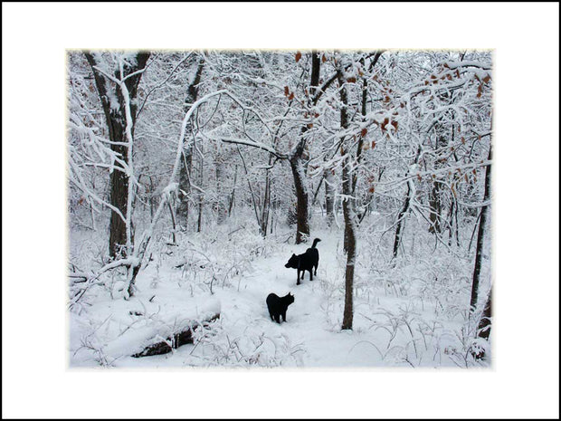 Angels in the Snow ~ Print