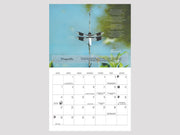 2021 Sky and Nature Calendar