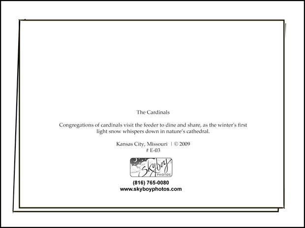 The Cardinals ~ Lyrical Card